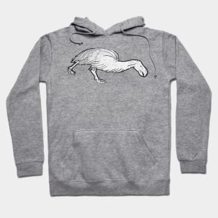 Dodo Hoodie